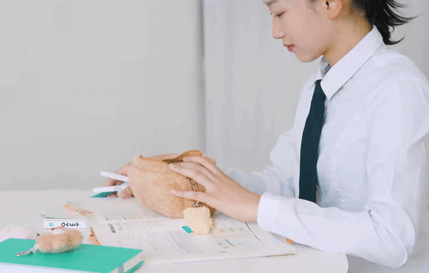 2b7045e7ed3a81e83f24944f73c3deb0_1747369891_2857.gif