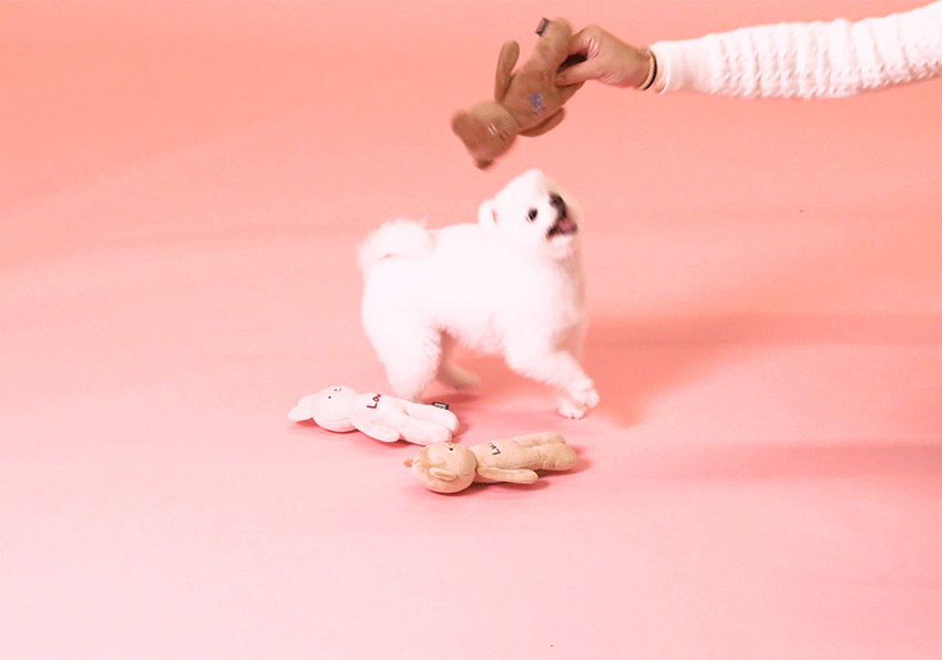 79ced76cdcf71403dfee496f131341ab_1747391552_537.gif