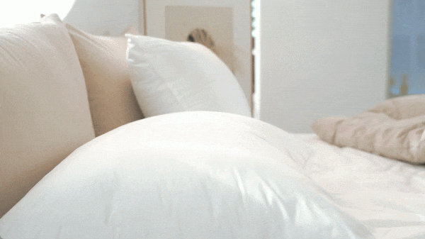 7d2a2637ce6fd8e7d5877036a88174b7_1747384353_6863.gif
