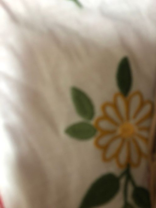 1a821966b351de353ac21b9134dbea59_1747580994_0107.jpg