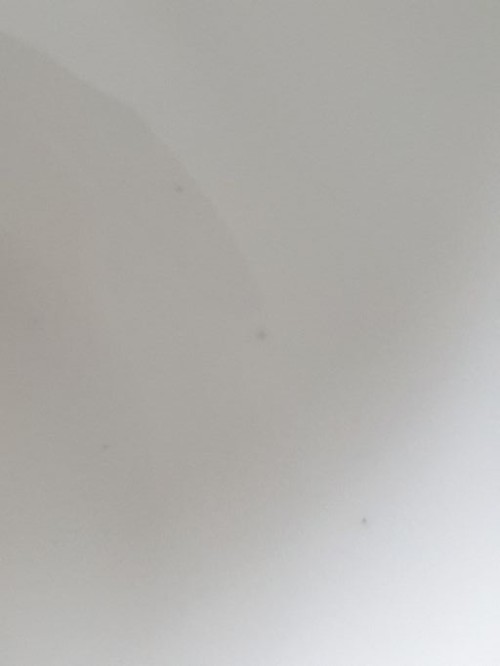 1a821966b351de353ac21b9134dbea59_1747584766_266.jpg