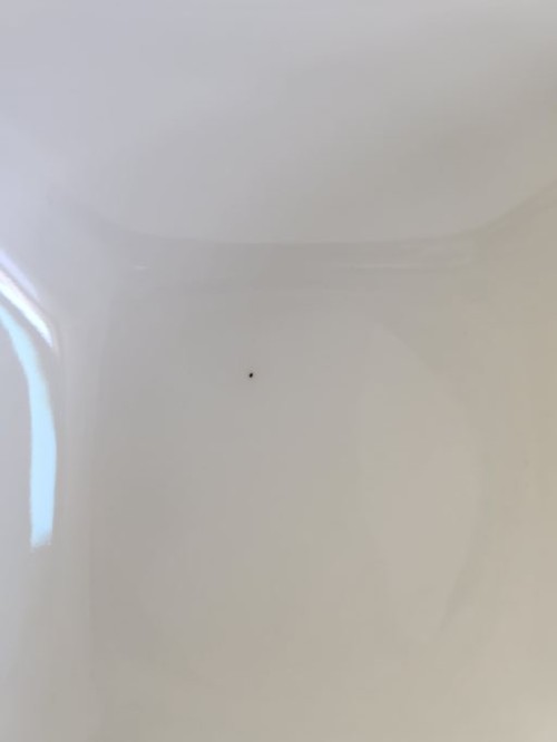 1a821966b351de353ac21b9134dbea59_1747584944_637.jpg
