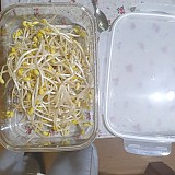 1a821966b351de353ac21b9134dbea59_1747601586_2351.jpg
