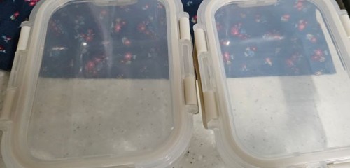 1a821966b351de353ac21b9134dbea59_1747604123_3498.jpg