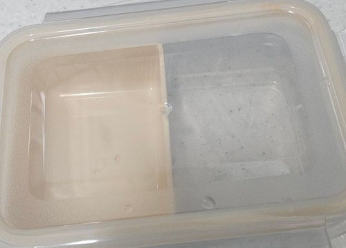 1a821966b351de353ac21b9134dbea59_1747608152_8973.jpg