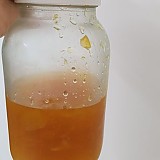 1a821966b351de353ac21b9134dbea59_1747614287_6942.jpg