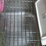 1a821966b351de353ac21b9134dbea59_1747617408_1894.jpg