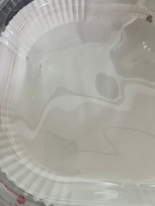 419e947a3278e6384a6642dcb48d3e2a_1747637257_4742.jpg