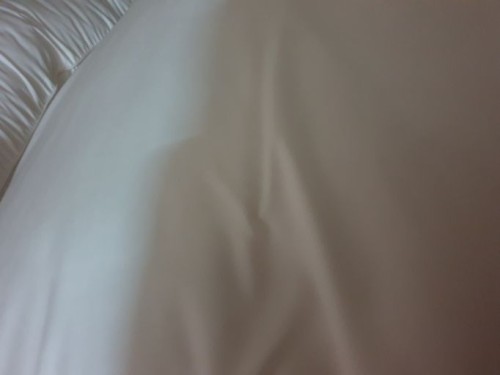 9f5c76d21174a133c84a9389b7eae322_1747394530_5936.jpg