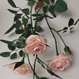 b29194b852e2c2d05165bbef2e3bd473_1747407527_4401.jpg