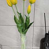 b29194b852e2c2d05165bbef2e3bd473_1747408243_1637.jpg