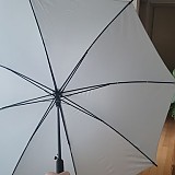 cf559f3c014bd7d7be7420e053147961_1747393899_7101.jpg