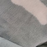 f7e596e2cea4dd94f45cb2acadfc9335_1747692749_7079.jpg