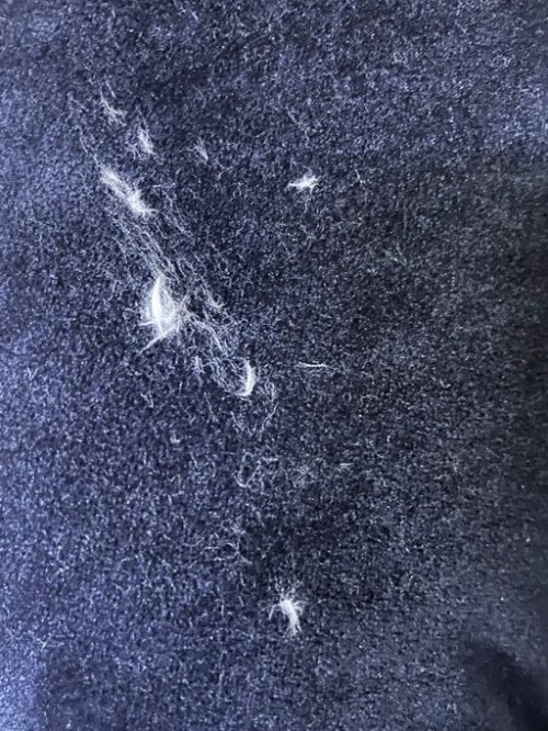 f7e596e2cea4dd94f45cb2acadfc9335_1747697719_7092.jpg