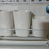 1a0f665a297d7c0c32f0593de5b5eaa2_1747558454_9788.jpg