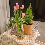 1a821966b351de353ac21b9134dbea59_1747578860_284.jpg