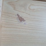 1a821966b351de353ac21b9134dbea59_1747580956_2362.jpg