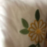 1a821966b351de353ac21b9134dbea59_1747580994_0107.jpg