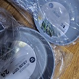 1a821966b351de353ac21b9134dbea59_1747593784_7522.jpg