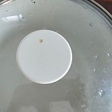 1a821966b351de353ac21b9134dbea59_1747594455_2553.jpg