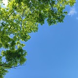 1a821966b351de353ac21b9134dbea59_1747597850_0322.jpg