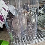 1a821966b351de353ac21b9134dbea59_1747603033_6761.jpg