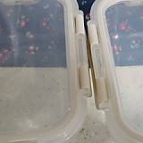 1a821966b351de353ac21b9134dbea59_1747604114_5291.jpg