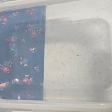 1a821966b351de353ac21b9134dbea59_1747604368_5817.jpg