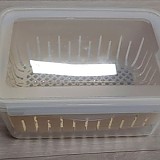 1a821966b351de353ac21b9134dbea59_1747607027_3004.jpg