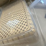 1a821966b351de353ac21b9134dbea59_1747607062_5869.jpg