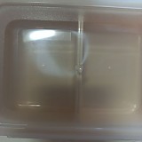 1a821966b351de353ac21b9134dbea59_1747608109_2346.jpg