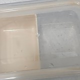 1a821966b351de353ac21b9134dbea59_1747608152_8973.jpg