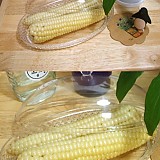 1a821966b351de353ac21b9134dbea59_1747616782_2344.jpg