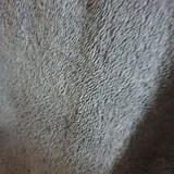 b29194b852e2c2d05165bbef2e3bd473_1747399972_4214.jpg