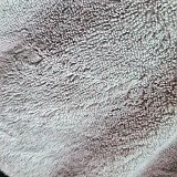 b29194b852e2c2d05165bbef2e3bd473_1747400049_3373.jpg