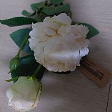 b29194b852e2c2d05165bbef2e3bd473_1747405794_9202.jpg