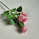 b29194b852e2c2d05165bbef2e3bd473_1747406140_0736.jpg
