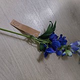 b29194b852e2c2d05165bbef2e3bd473_1747406919_8808.jpg