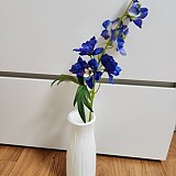 b29194b852e2c2d05165bbef2e3bd473_1747406967_3291.jpg