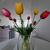 b29194b852e2c2d05165bbef2e3bd473_1747407111_4918.jpg