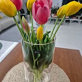 b29194b852e2c2d05165bbef2e3bd473_1747407436_5453.jpg
