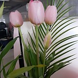 b29194b852e2c2d05165bbef2e3bd473_1747407755_1281.jpg
