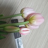 b29194b852e2c2d05165bbef2e3bd473_1747407802_7767.jpg