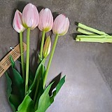 b29194b852e2c2d05165bbef2e3bd473_1747407870_3974.jpg