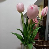 b29194b852e2c2d05165bbef2e3bd473_1747407892_5843.jpg