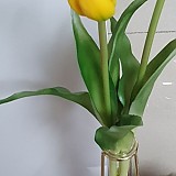 b29194b852e2c2d05165bbef2e3bd473_1747407939_0694.jpg