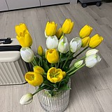 b29194b852e2c2d05165bbef2e3bd473_1747407972_9527.jpg