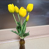 b29194b852e2c2d05165bbef2e3bd473_1747407998_7907.jpg