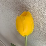 b29194b852e2c2d05165bbef2e3bd473_1747408063_6682.jpg