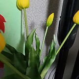 b29194b852e2c2d05165bbef2e3bd473_1747408074_161.jpg